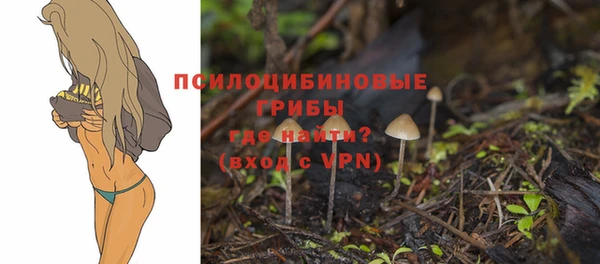 марки nbome Горняк