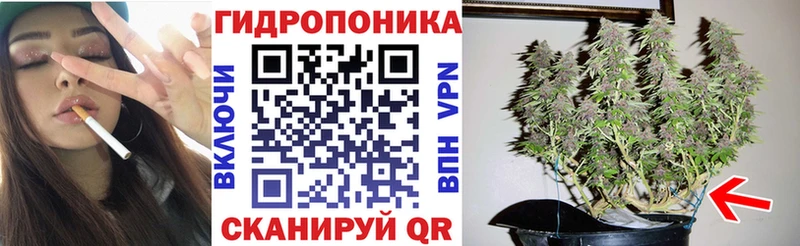 МАРИХУАНА гибрид  ссылка на мегу ССЫЛКА  Покровск  наркотики 
